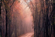 半岛体育登录入口-克里米亚逆袭奇迹：击败摩尔多瓦，凭信念勇闯晋级之路