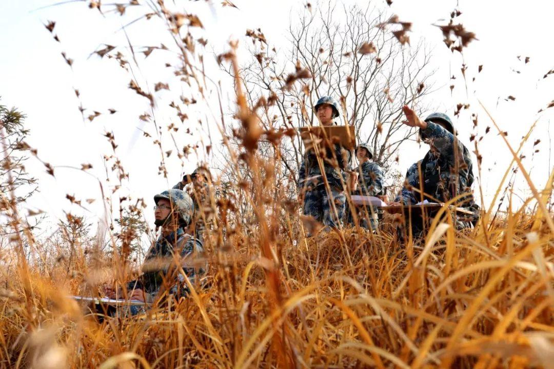 包含战术打法层出不穷，场上局势瞬息万变的词条